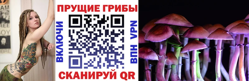 Псилоцибиновые грибы GOLDEN TEACHER  Купить  Белёв 